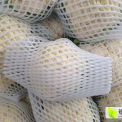 徐州铜山有机菜花《赵志龙》诚信合作