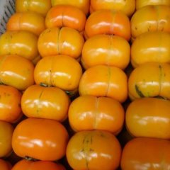 今年柿子特别甜，大丰市恒北村2组张德青