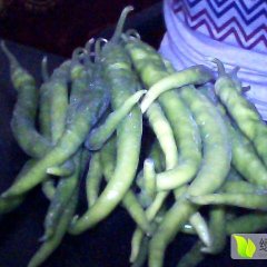 陕西大荔线椒辣椒质量上乘