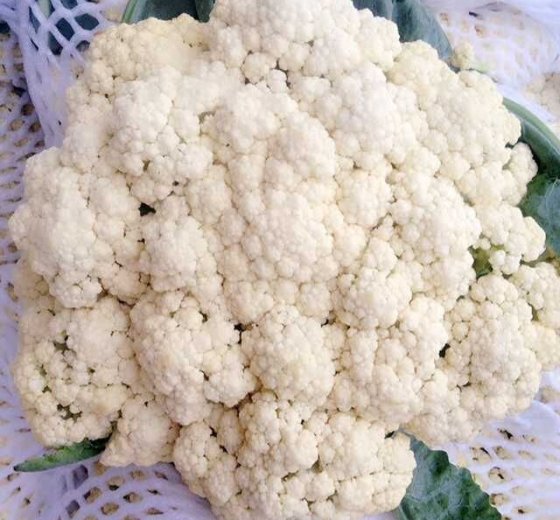 2015年江苏沛县白面青梗松花菜价格