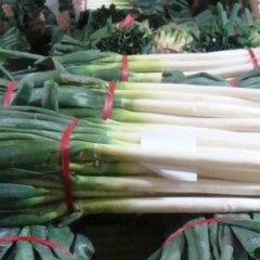 2015费县大葱现在订货有惊喜