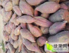 开封县红薯名优产品,范村杜广友诚信合作
