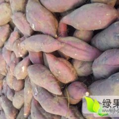 开封县红薯名优产品,范村杜广友诚信合作