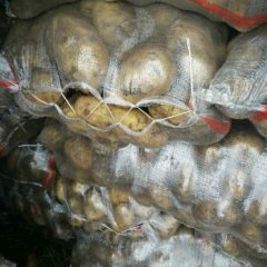 内蒙古科右前旗兴佳2号土豆名优产品