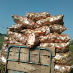 2015围场土豆走过路过不要错过