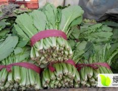 永年南大堡蔬菜市场