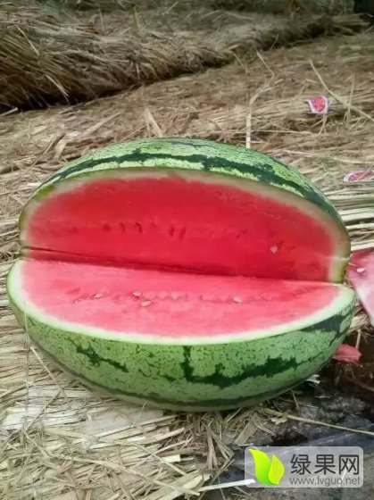 新绿宝价格