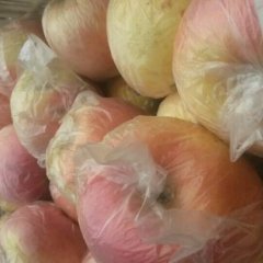 徐州苹果沛县刘运伟诚信合作