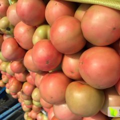 河南内黄硬粉西红柿质量上乘