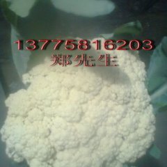 江苏徐州花菜著名品牌江苏郑智诚信合作
