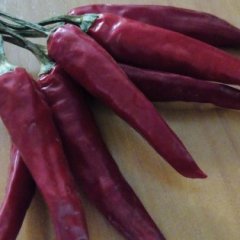 河南扶沟三樱椒辣椒假一赔十