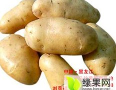 绥化市马铃薯繁育基地大土豆出售