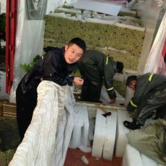 绿色蔬菜之乡铜山芹菜