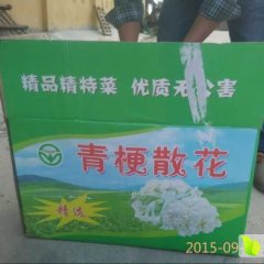 2015沛县菜花抓住商机无限