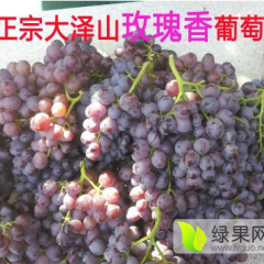 山东青岛玫瑰香葡萄绿色无公害