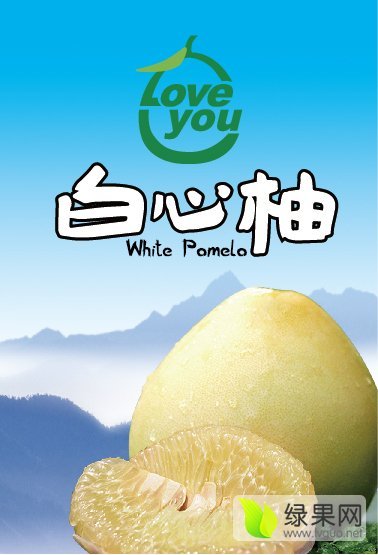 2015年福建平和蜜柚价格