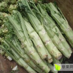 四川成都青白江利宝多农场蔬菜种植基地