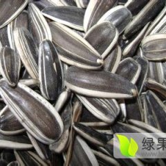 吉林省范围内最大的葵花种植大镇之一