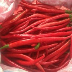 山西忻府北京红辣椒名优产品