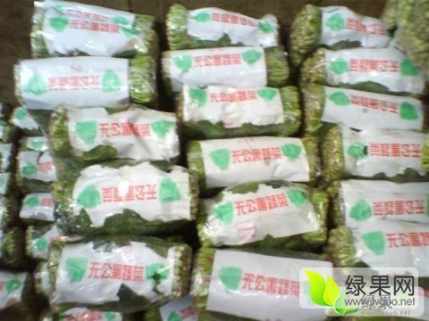 2015年山东东昌府大叶菠菜价格