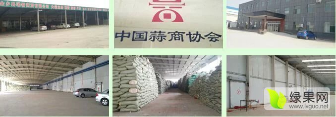 2015年山东金乡金乡大蒜价格