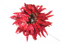 宁河辣椒聚焦市场,丰台刘建永诚信合作