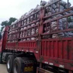 河南开封县苏薯8号红薯质量上乘