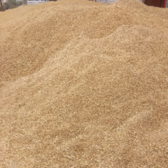 2015宜城小麦走过路过不要错过