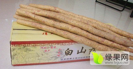 2015年河北安平小白嘴白山药价格