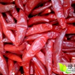 长年供应冷库辣椒质量好，价格便宜