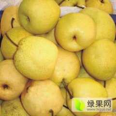2015大荔梨俏销大江南北