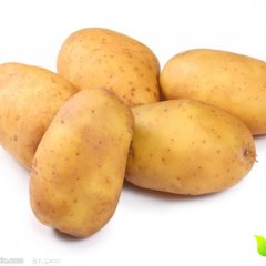 河北沽源荷兰十五土豆假一赔十