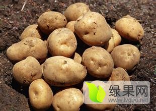 吉林省怀德张楠诚信代办*代发