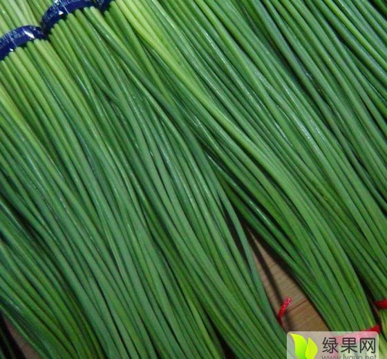 2015年山东金乡蒜薹价格