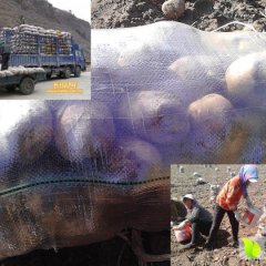 公主岭延署四诚信代办李选民