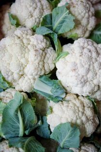东昌府沙镇雪玉菜花价格适宜