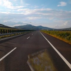 吉林扶余延薯四号大土豆质量最佳