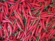 睢阳娄店天宇辣椒色泽鲜艳，口感甚佳