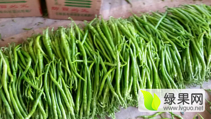 2015费县辣椒值得出手