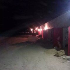 安定土豆著名品牌,巉口李佳亮诚信合作