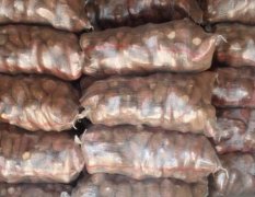 2015临沭红薯大量供应 各种类型