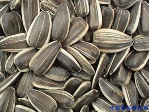 武川葵花著名品牌,及周邓喜喜诚信合作