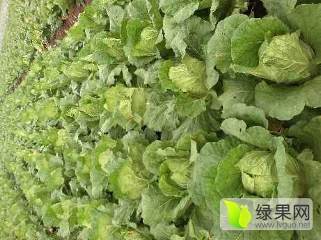 2015年湖北嘉鱼山地王价格