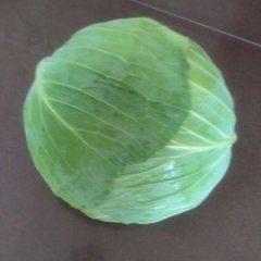 湖北殷希能诚信合作 常年供应正在上市