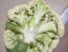 山东省泗水有机花 菜花上市 价格便宜