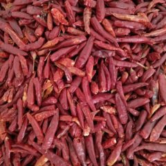 宜城辣椒绿色无公害,新街甘丽丽诚信合作