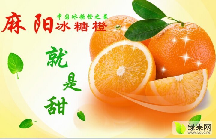 2015年湖南麻阳麻阳冰糖橙价格