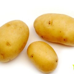 山西太谷克新一号土豆随行就市