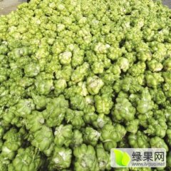 200吨新鲜榨菜已经上市，量大从优，价格优惠