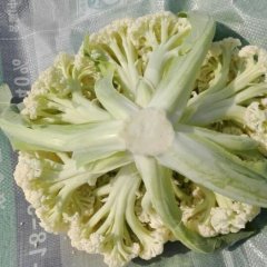 河南鹤壁有机菜花